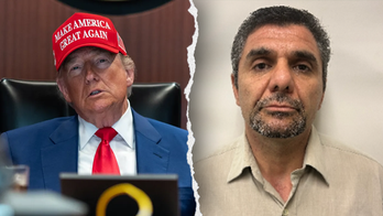 More Iranians with criminal histories arrested by ICE in Trump's security sweep: 'Worst of the worst'