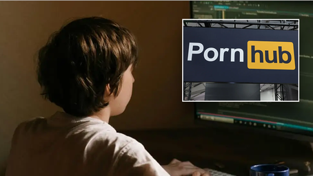 Liberal writer claims Dems should 'embrace' pornography to win back male voters