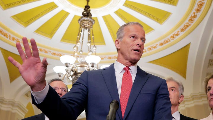 Leader Thune details his work to corral Republicans behind Trump's legislative vision