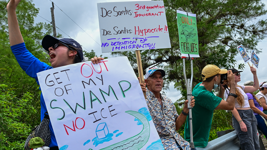 Florida protesters on highway