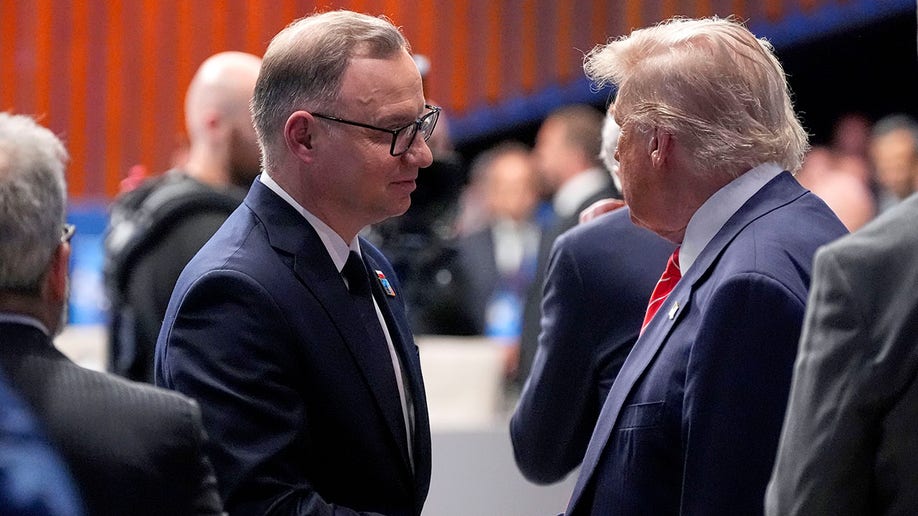 President Donald Trump shakes hands with Poland's President Andrzej Duda during a plenary session at the NATO summit.