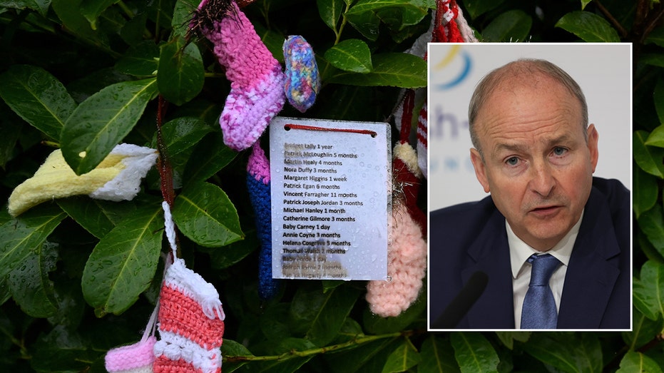 Grim excavation begins at site believed to contain remains of around 800 babies