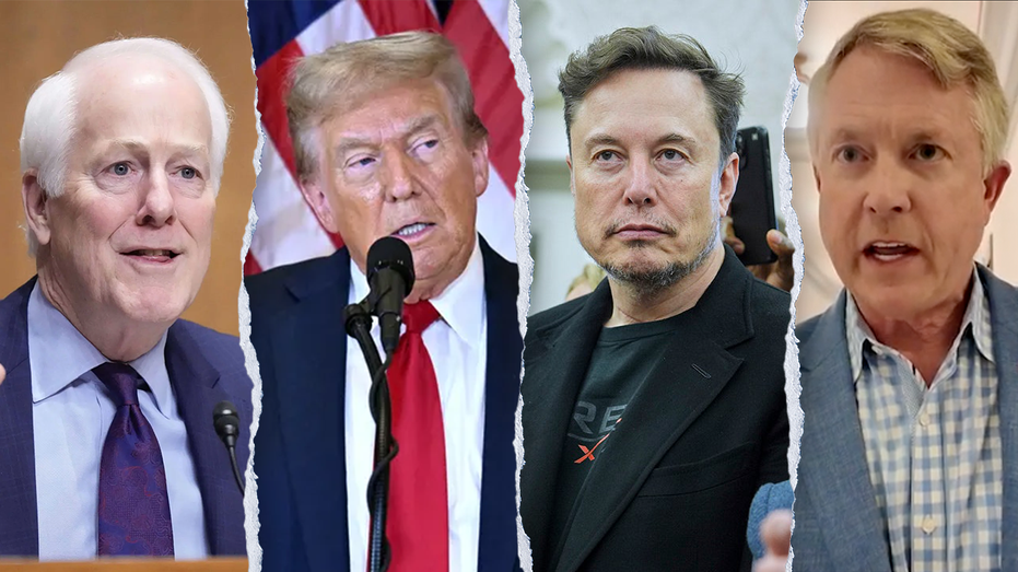 WATCH: Republican senators react to Musk v. Trump feud: ‘He’s not the CEO here’