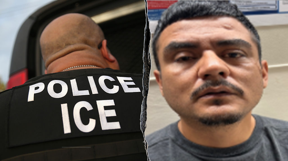 Illegal immigrant faces charges for spitting on ICE officer in Los Angeles: ‘OK, you got me’