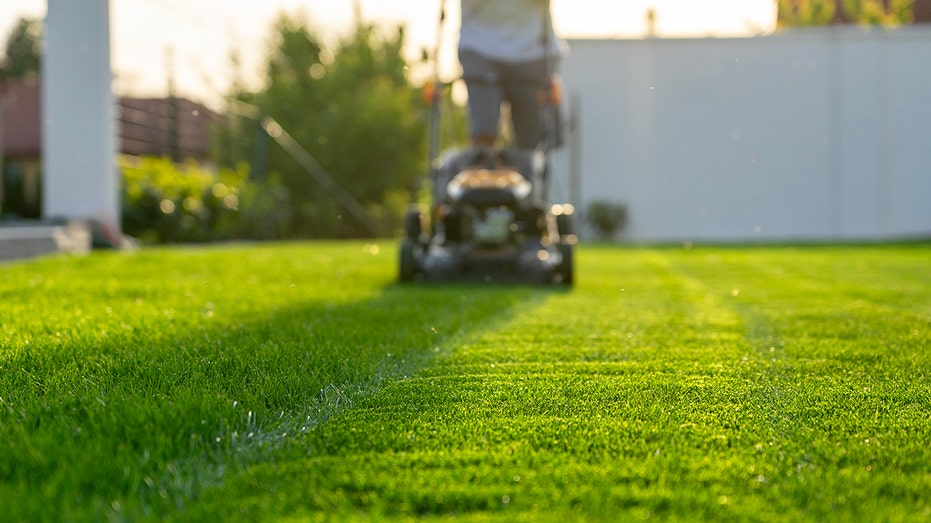 Ditching the lawnmower may have unexpected health benefits, according to experts