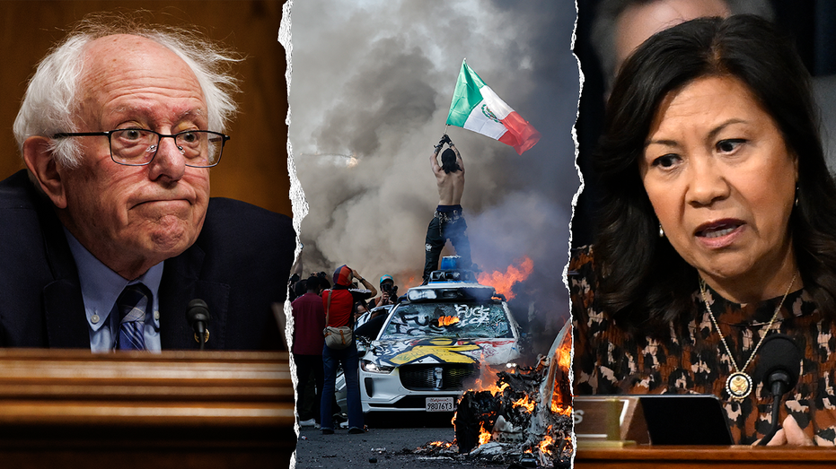 Democrats Shift Tone: Moving Away from Pro-Cop Rhetoric Amid Rising Immigration-Related Riots