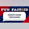 parrots name their babies