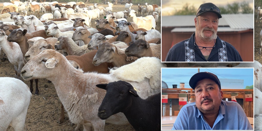 https://a57.foxnews.com/static.foxnews.com/foxnews.com/content/uploads/2025/07/1024/512/arizona-farmer-immigration.jpg?ve=1&tl=1