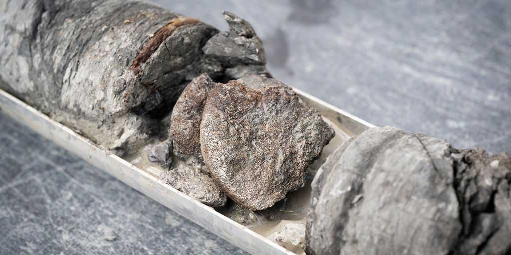 Museum discovers rare 67-million-year-old dinosaur bone under its own parking lot