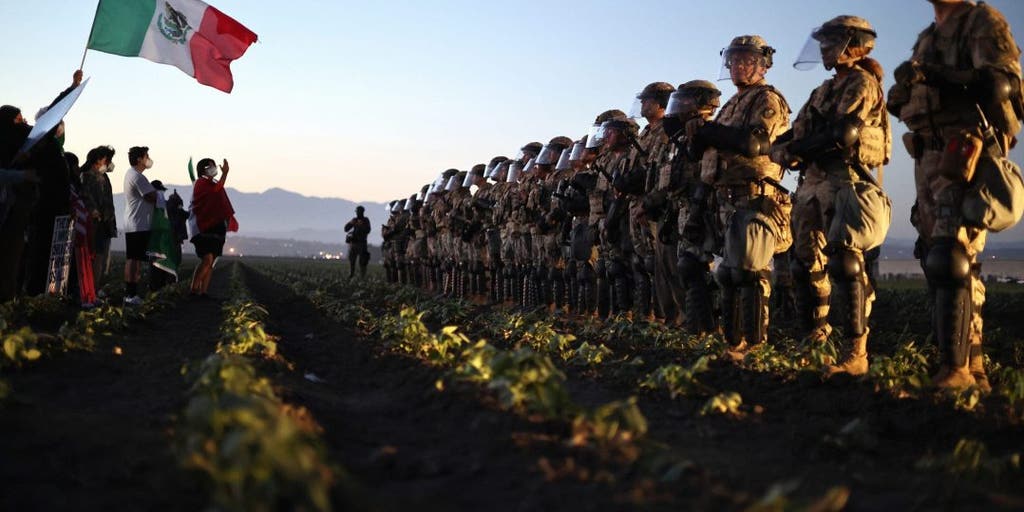 Feds nab anti-ICE activists in sweeping pre-dawn LA raid