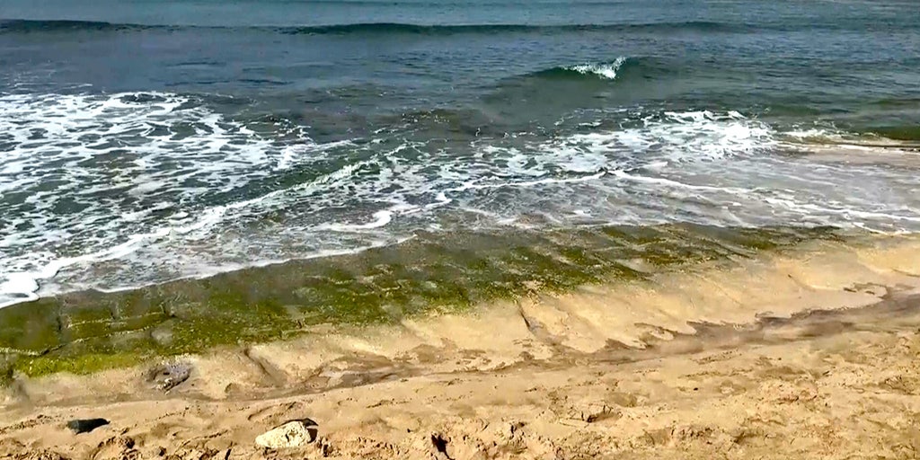 Ocean swells uncover 500-year-old petroglyphs on Oahu's shoreline | Fox News