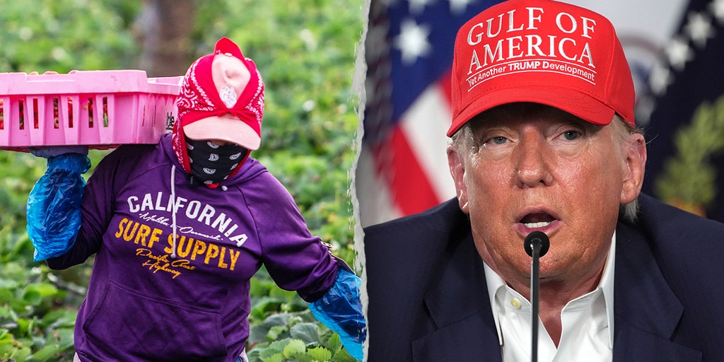 https://a57.foxnews.com/static.foxnews.com/foxnews.com/content/uploads/2025/07/1024/512/trump-farmers-permit.jpg?ve=1&tl=1