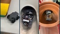 Mini robots detect and fix water pipe leaks without digging - Fox News