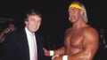 Netflix documentary director on Hulk Hogan's Trump support and the backlash that followed him to the end - Fox News