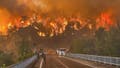 1,700 evacuated, firefighter dead as Turkey wildfires tear through major city - Fox News