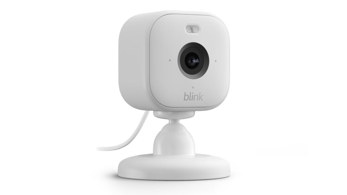 Make sure your pet is safe when you're not home with a Blink Mini camera.