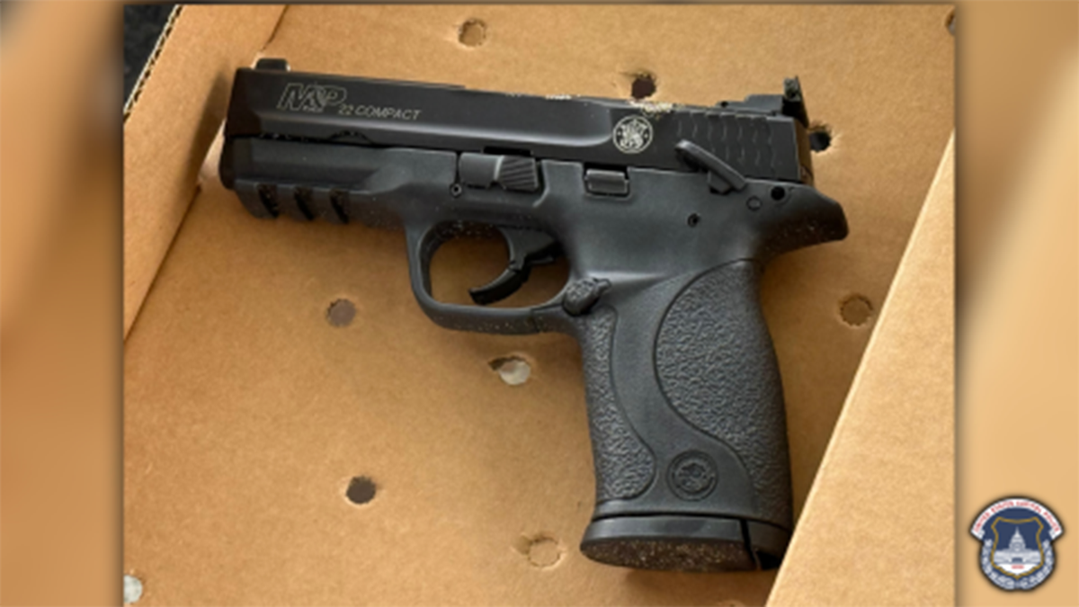 Police found an unregistered firearm and unregistered ammunition in the vehicle.