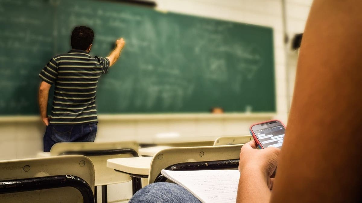 teacher at blackboard