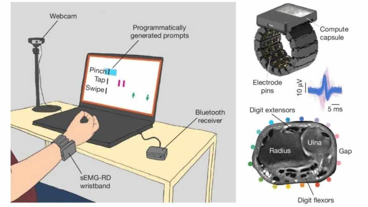 Illustration of Meta's sEMG-RD wearable being used to capture data during research.