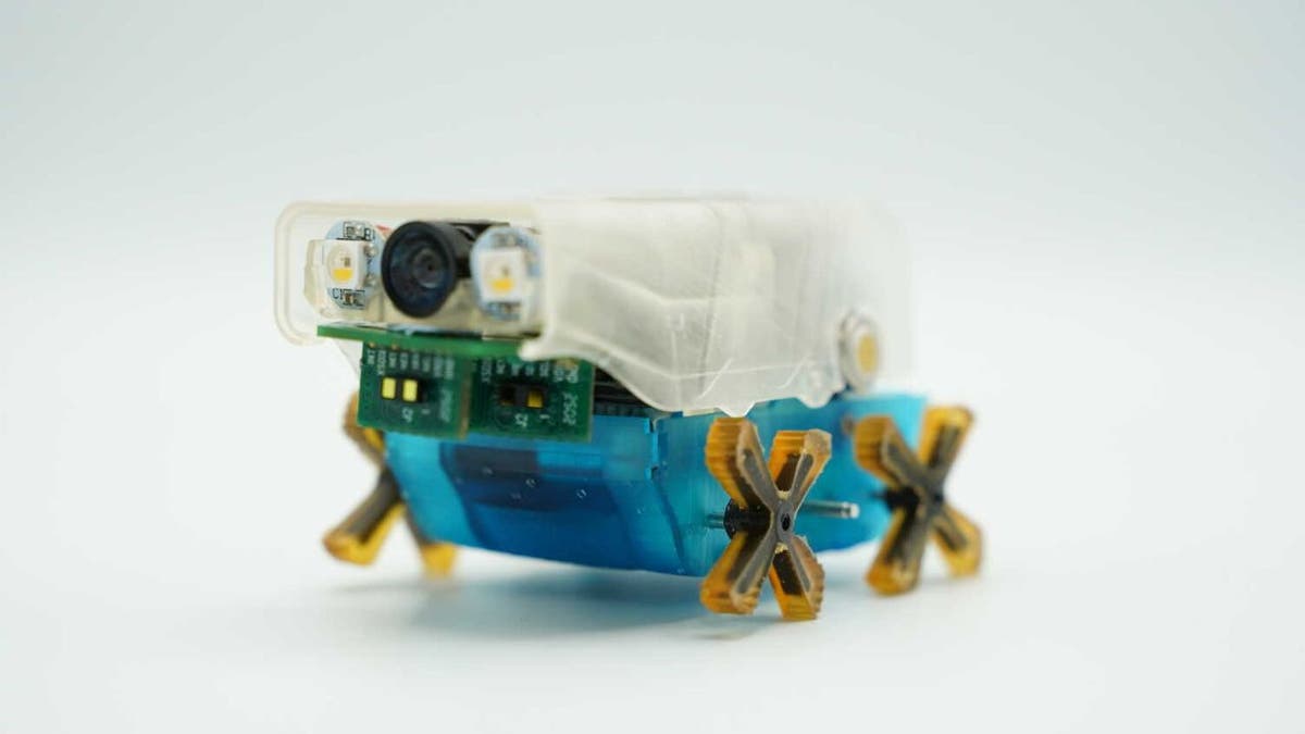 Image of a Pipebot.