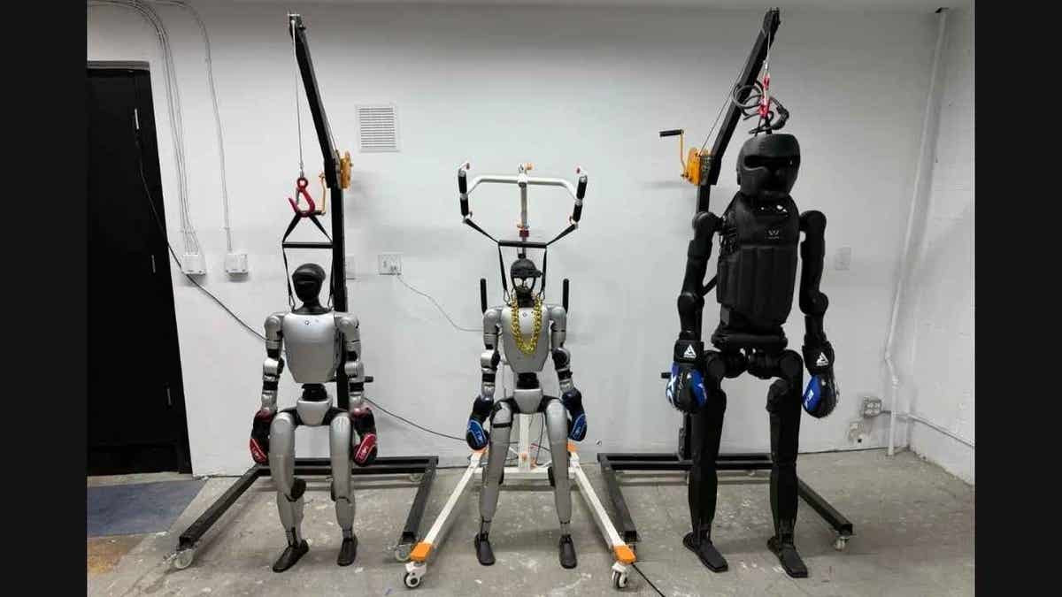 Rogue Robot 4
