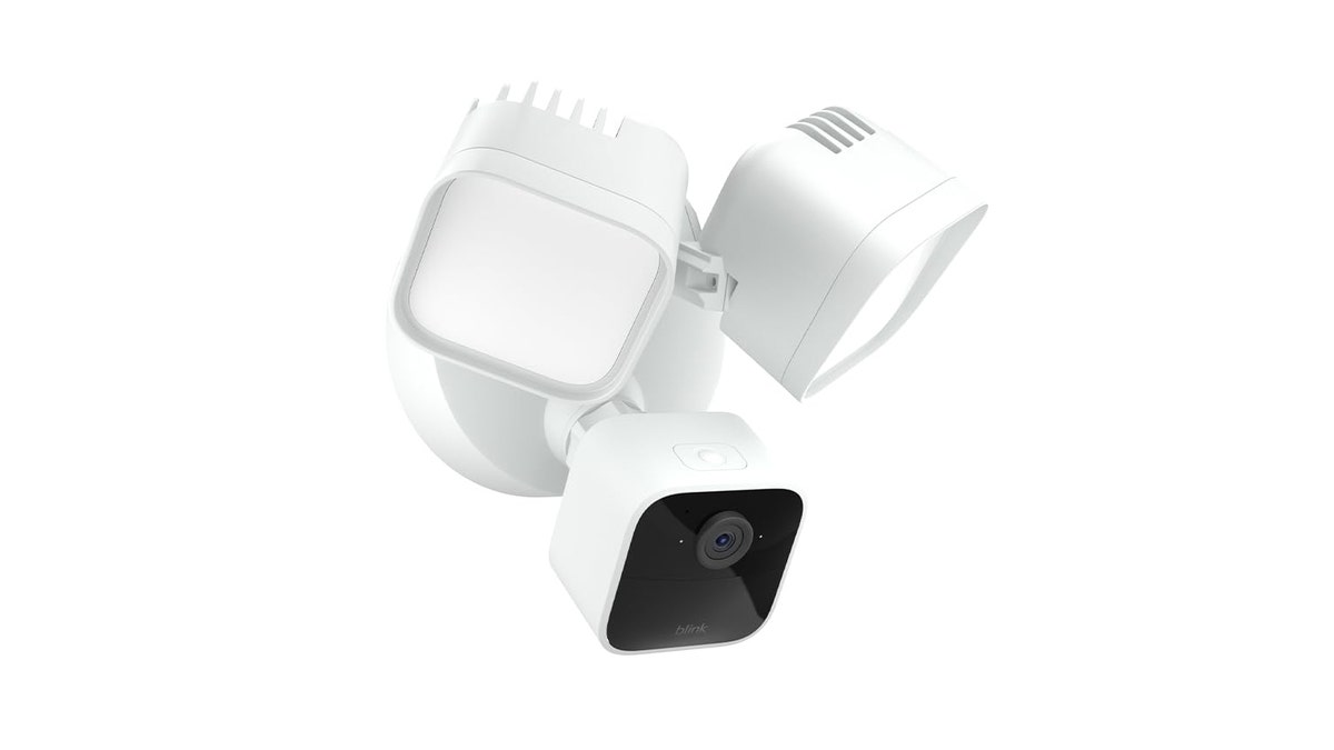 An automatic floodlight helps add even more security to your yard.