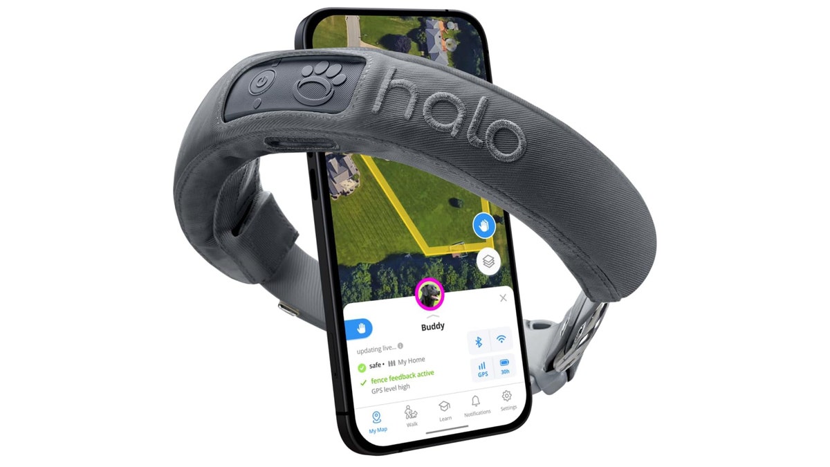 Keep your dog in your yard with this fence collar.