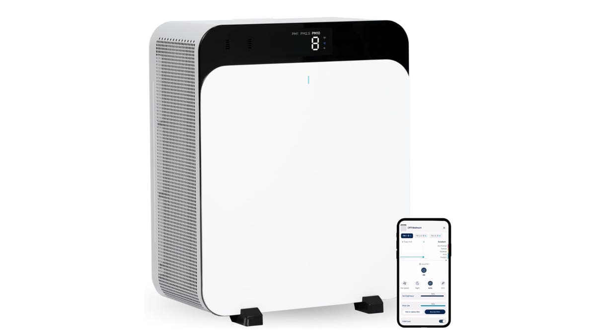 This air purifier has an intense dual fan system. 