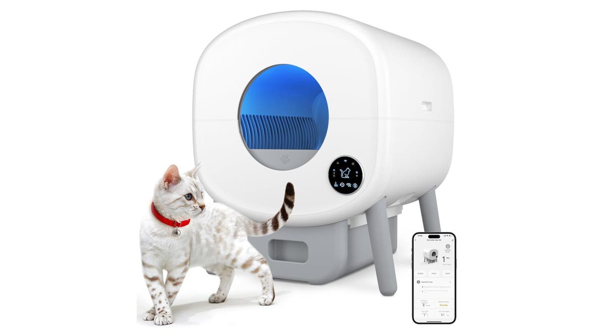 This litter box is big enough for multi-cat households. 