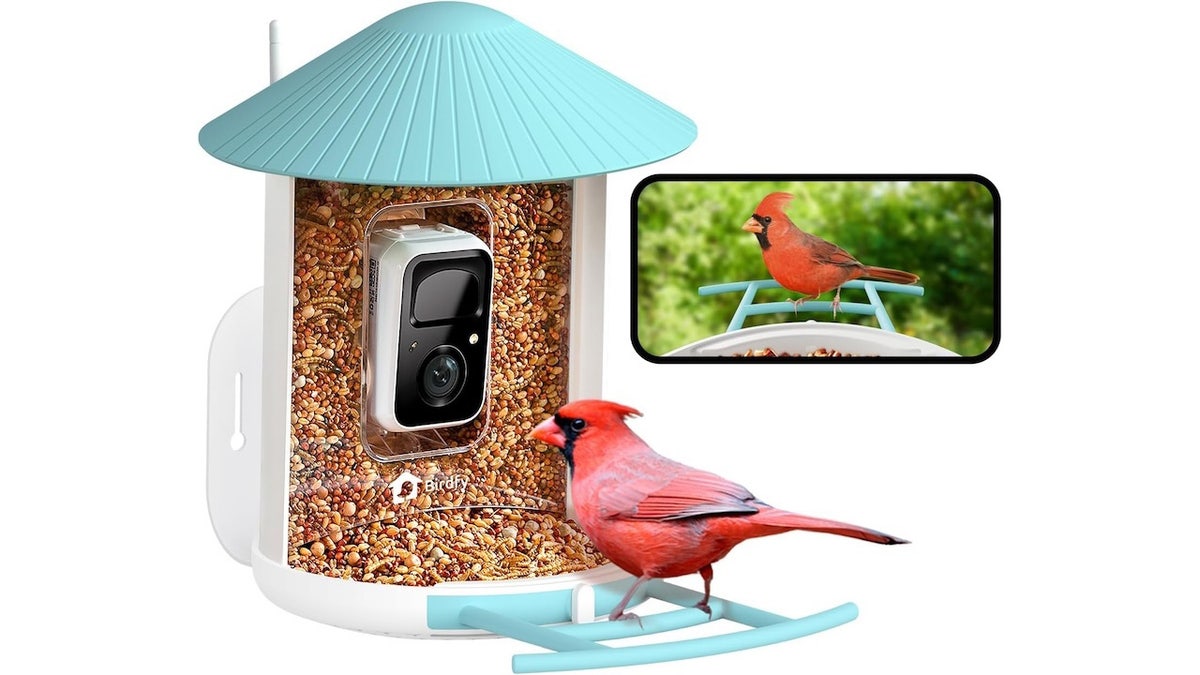 This fan-favorite bird feeder brings high-tech bird observation to your home.