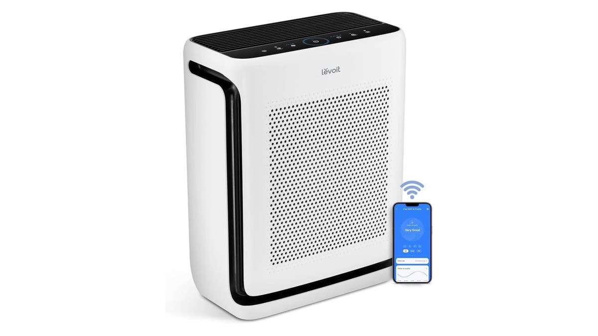 This powerful air purifier can clean the air in your entire home. 