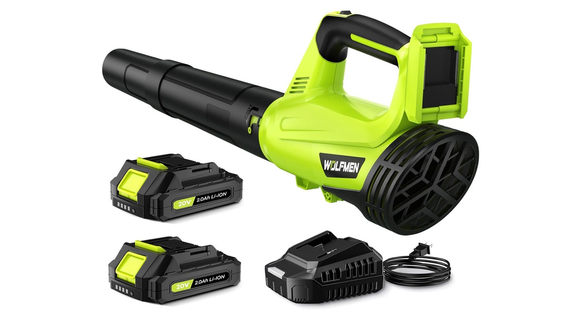A lightweight leaf blower that has a 30-minute runtime.