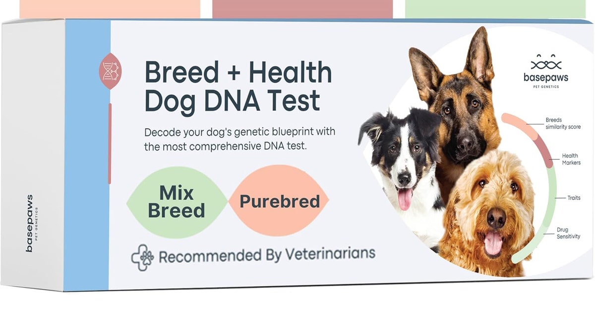 Find your dog's breed from over 300 options.