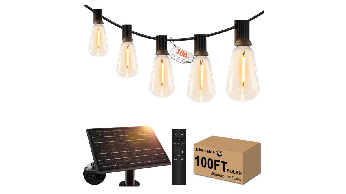 These lights automatically switch on at night.