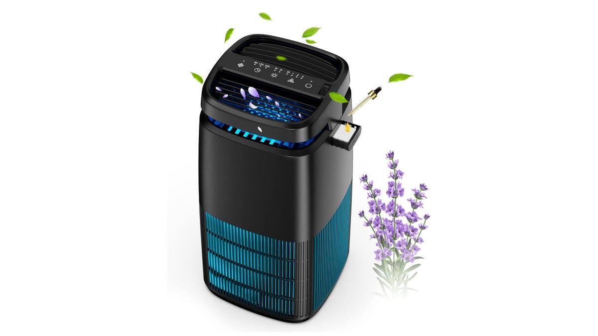 Keep your home smelling fresh with an air purifier with a built-in scent diffuser. 