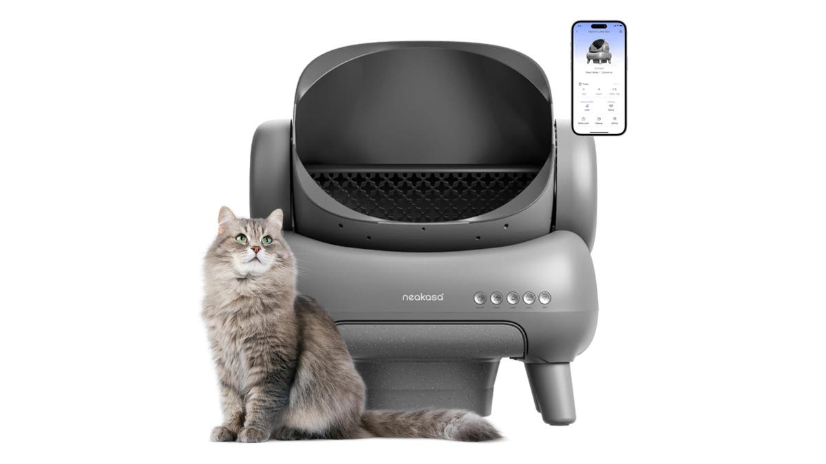 This open-top concept makes it easier for cats to get in and out.