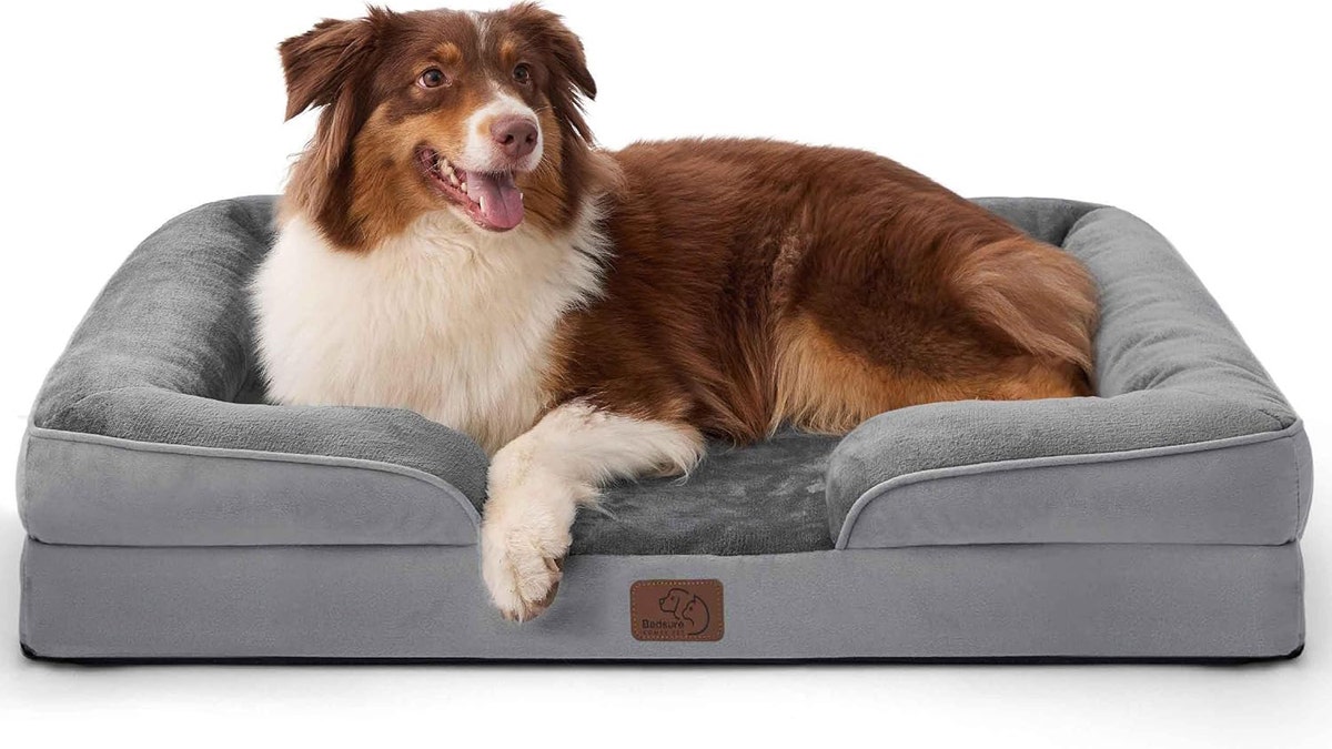 Give your dog a couch-like bed for added comfort.