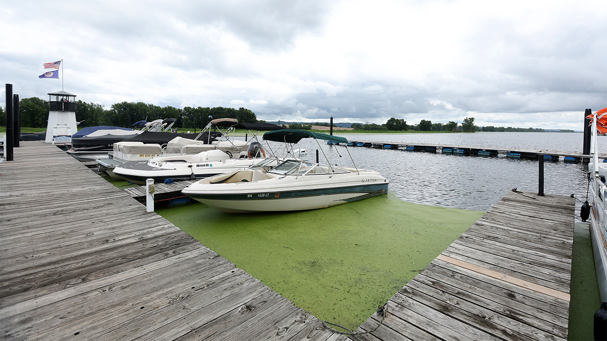 Viterbo University graduate student, Eliotte Heinz was found dead in the Mississippi River in Brownsville, WI, Thursday, July 24, 2025. Her body was discovered across from a marine bar.