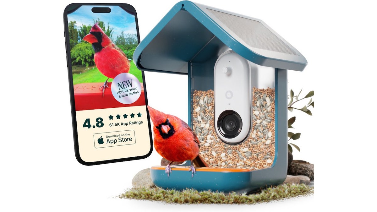 This bird feeder takes backyard bird-viewing to the next level with its charming design and intelligent features.