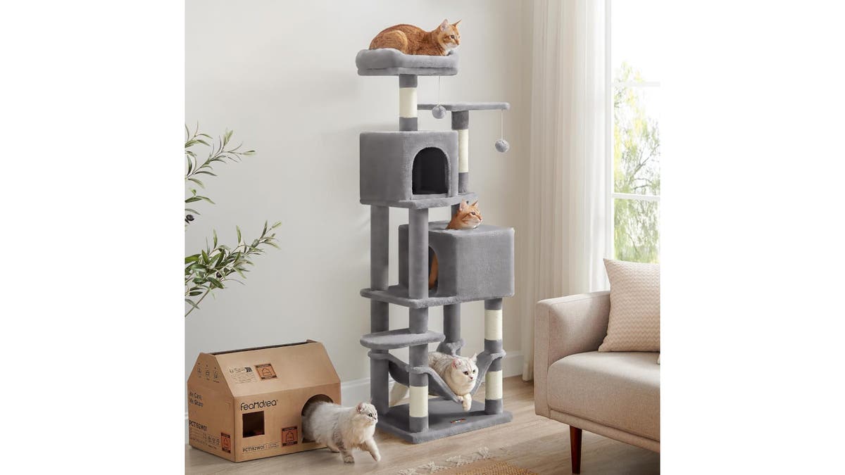 This cat tree has multiple tiers and caves.