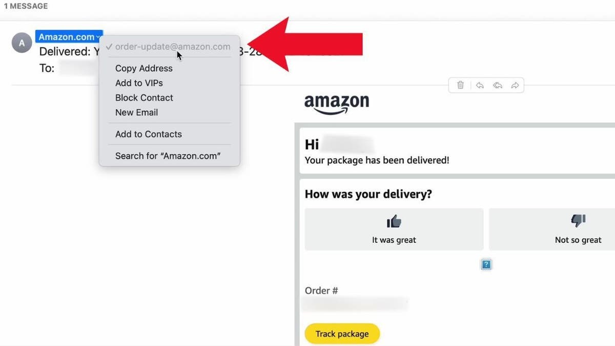 Amazon Takliti 9