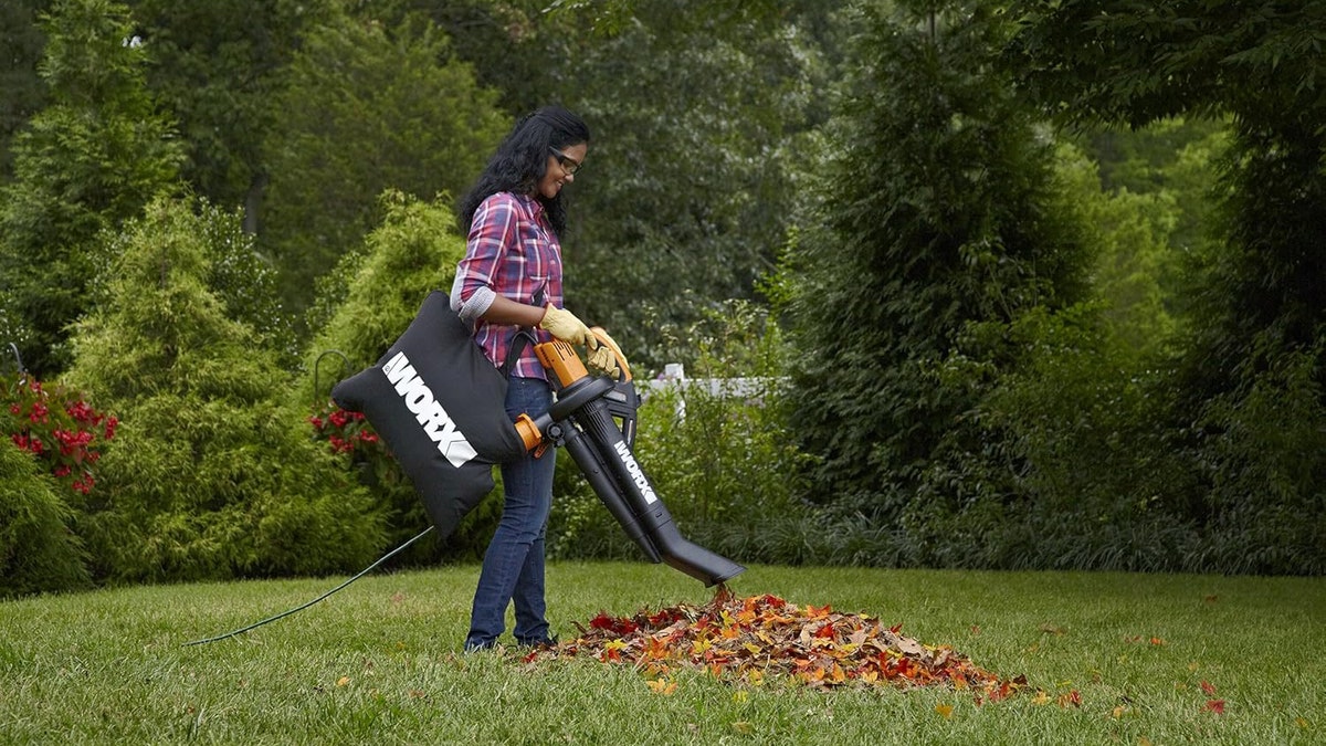 Clean up your yard quickly with this leaf blower, vacuum and mulcher. 