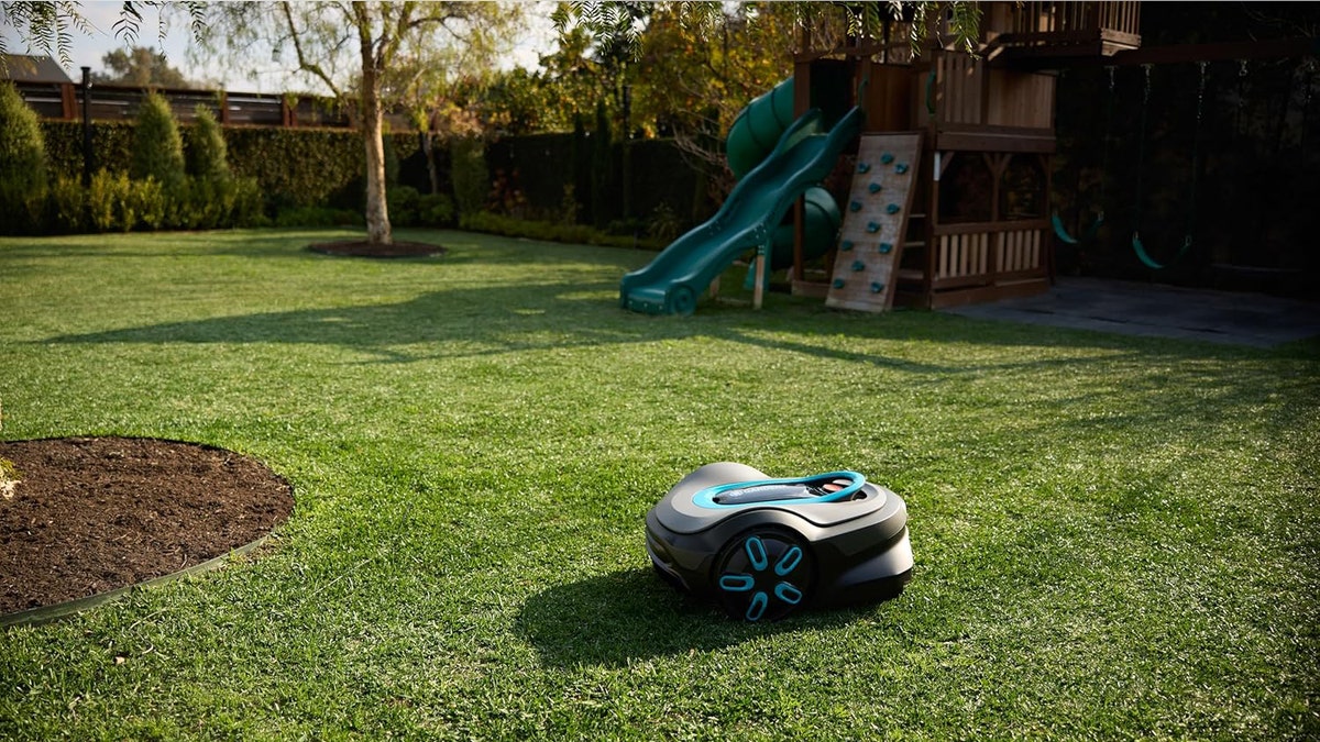 Don't lift a finger to mow your lawn. 