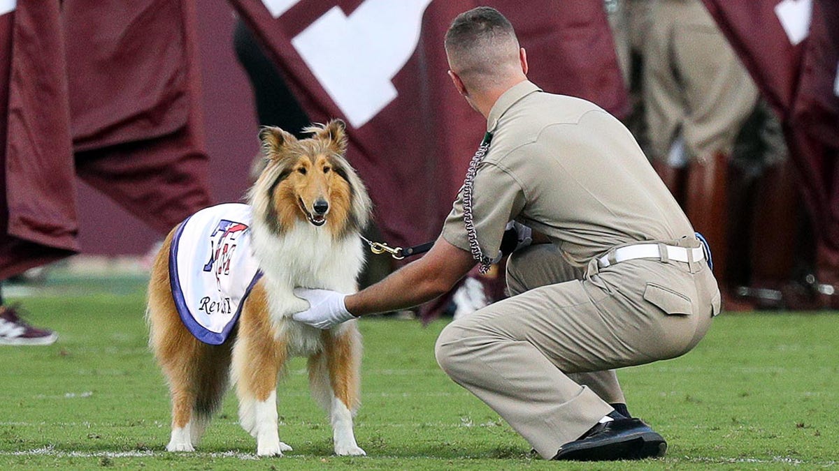 Reveille X at Kyle Field
