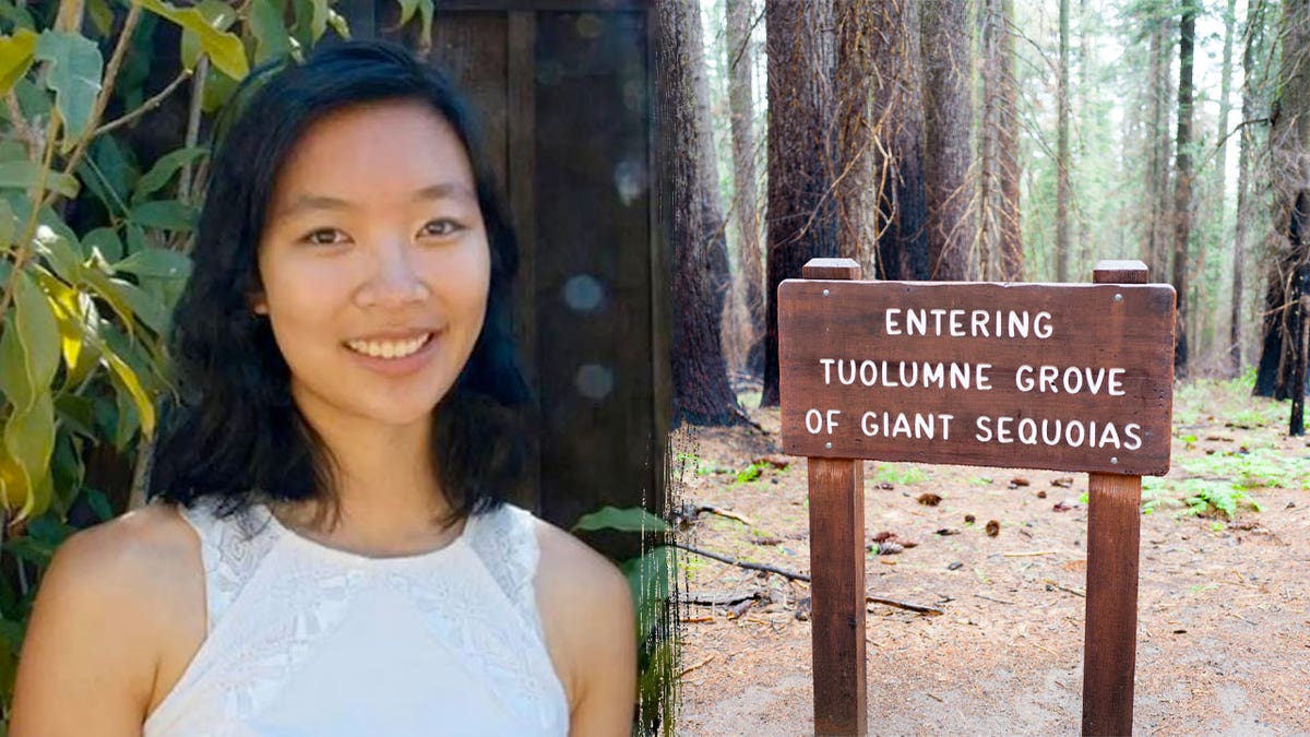 Google engineer, 29, dies on Yosemite National Park trail after falling  tree branch strikes her, image size:1200x675