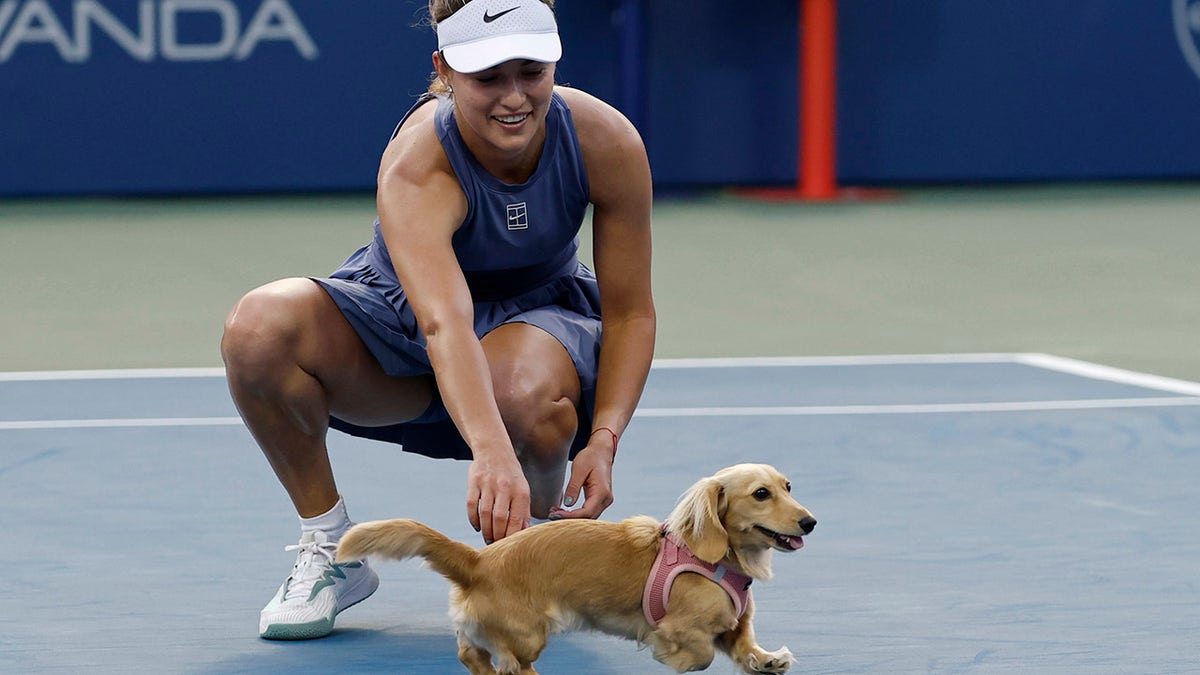 anna-kalinskaya-dc-open-1 Tennis star Anna Kalancaya celebrates victory with her dog