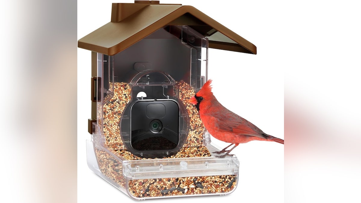 Repurpose your existing home security camera into a weatherproof bird-watching tool.