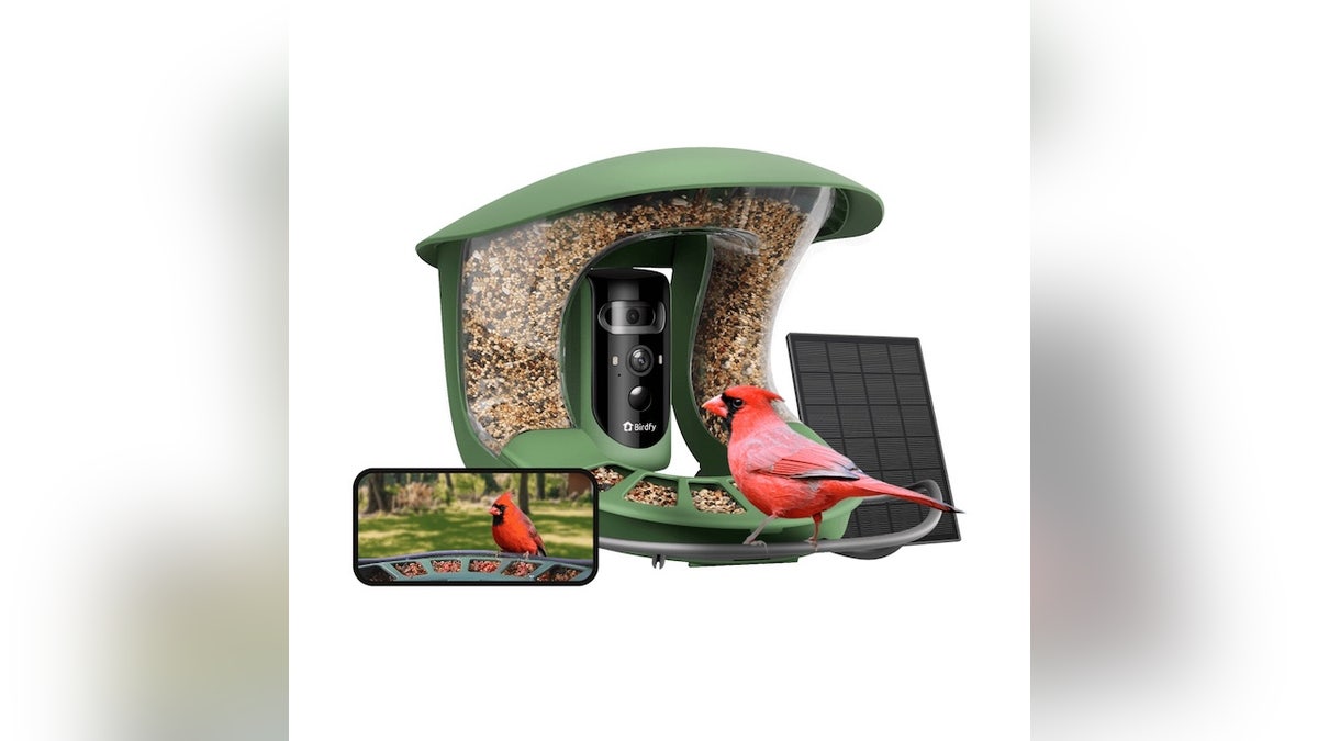 This high-tech bird feeder ensures you're capturing both the big picture and intimate details of your feathered guests.