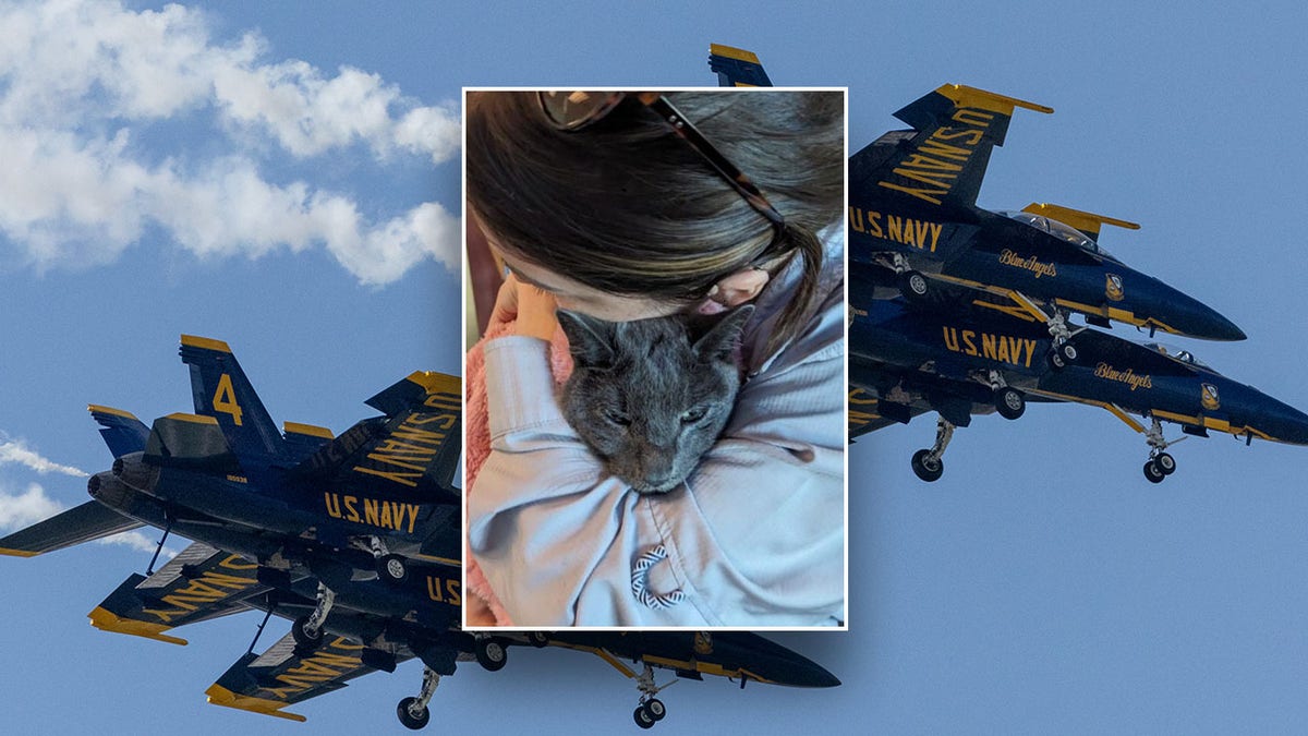 Image of the Blue Angels and a woman and her cat