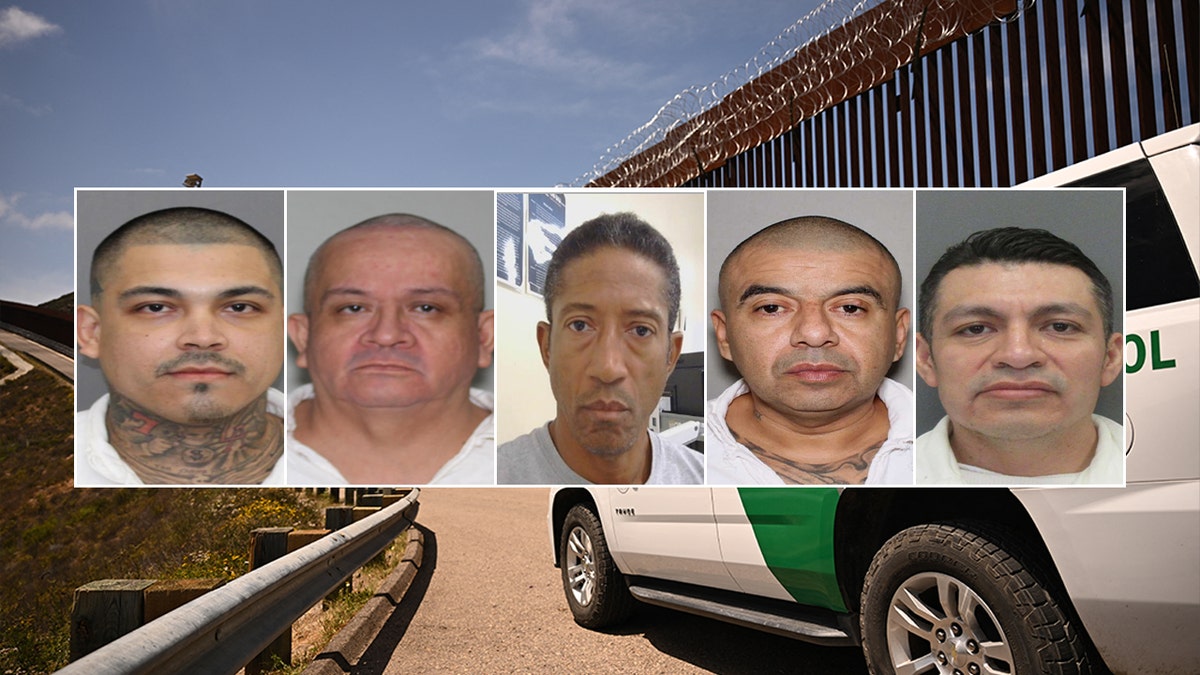Booking pictures of people ICE arrested in the Houston area